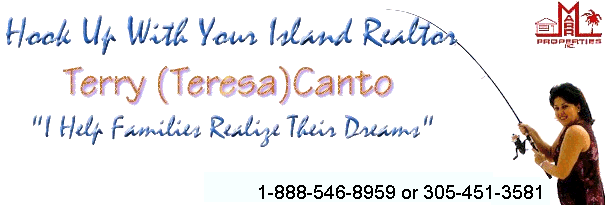 Hook Up With Your Island Realtor - Teresa (Terry) Canto - Marr Properties, Inc.